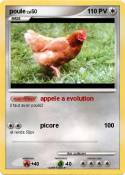 poule