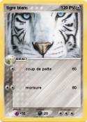 tigre blanc