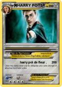 HARRY POTER