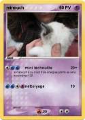 minouch