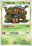 Tortue ninja