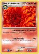 fleur du diable