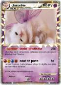 chatonfée