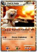 Chat'Al Qaida