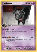 nindo dog