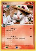 Chat