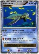 aqua tortue