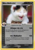 Miou Multicolor