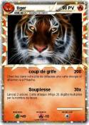 tiger