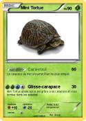 Mini Tortue