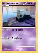 lurcher en