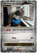 chat tireur sur