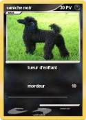 caniche noir