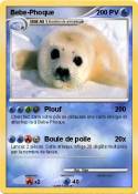 Bebe-Phoque