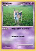 akita inu mix akita inu mix