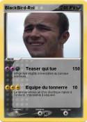 BlackBird-Roi