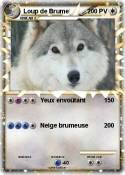 Loup de Brume