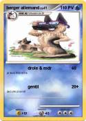 berger allemand