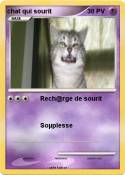 chat qui sourit chat qui sourit