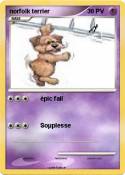 norfolk terrier