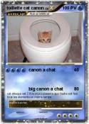 toillette cat