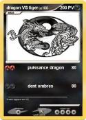 dragon VS tiger