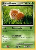 Chaton Mignon