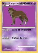 loup d'Europe