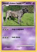 mastiff c0uleur