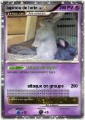lapinou de