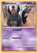 pit-bull humour
