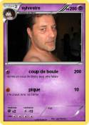 sylvestre