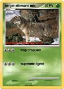 berger allemand