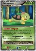 Tortipouss Tortipouss