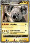 koala tueur