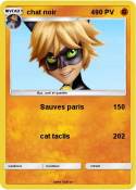 chat noir 4
