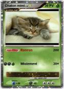Chaton mimi