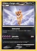 chaton d'ange