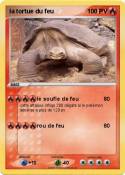 la tortue du