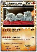 3 chaton mignon