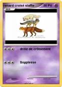 renard croisé staffie renard croisé