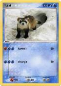 furet