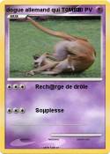 dogue allemand