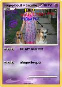 loup-pit-bull =