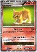 chaton