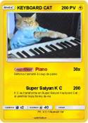 KEYBOARD CAT