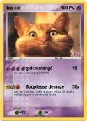 big cat