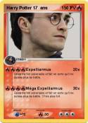 Harry Potter 17