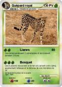 Guépard royal
