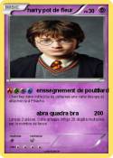 harry pot de